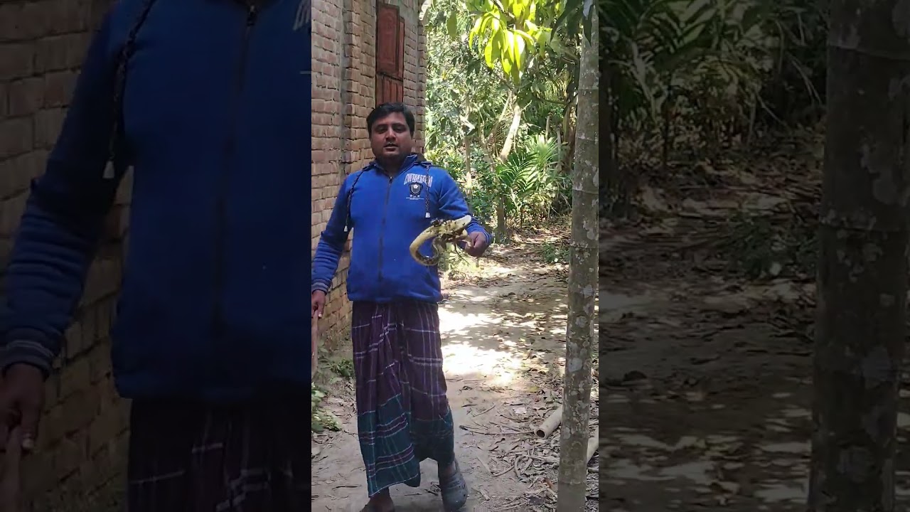 Nagin wala DANCE 🪱😂#shortvideo #shortsfeed #shorts #short
