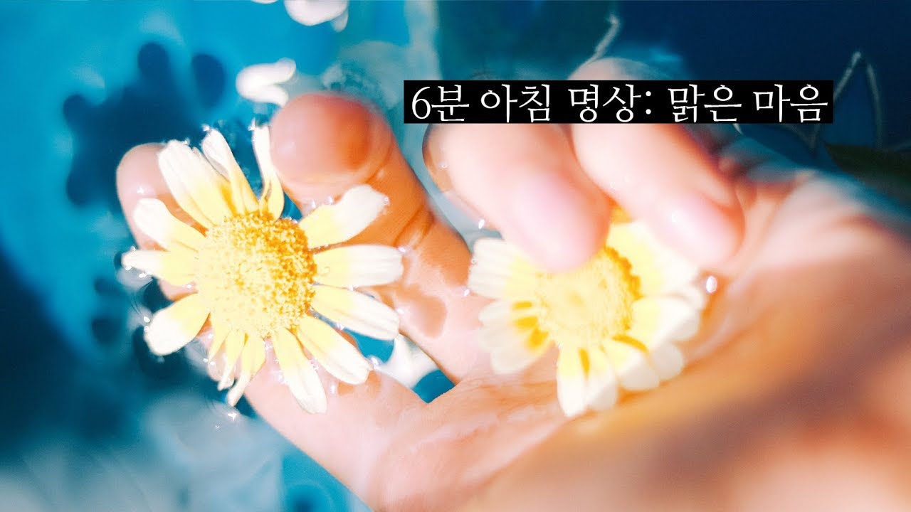 마음이 맑아지는 아침명상 💙 6분 버전 (청각장애를 위한 자막)