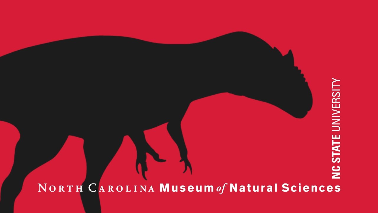 Press Event Announcing the Dinosaur Siats meekerorum