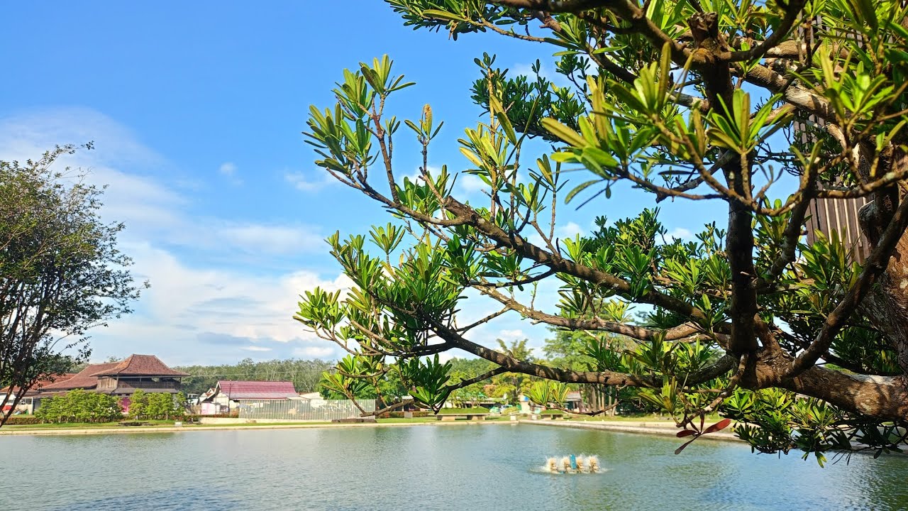 Calming music with beautiful place view.