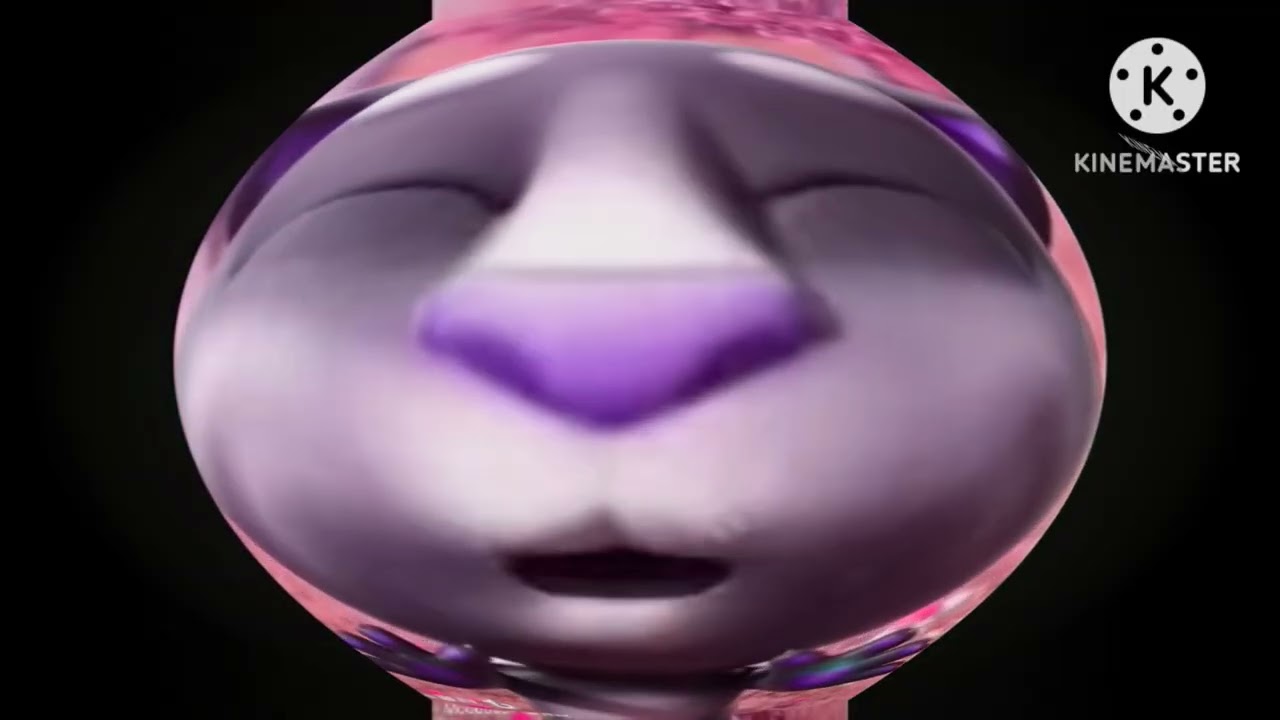 Talking Tom Cat effects Round 2