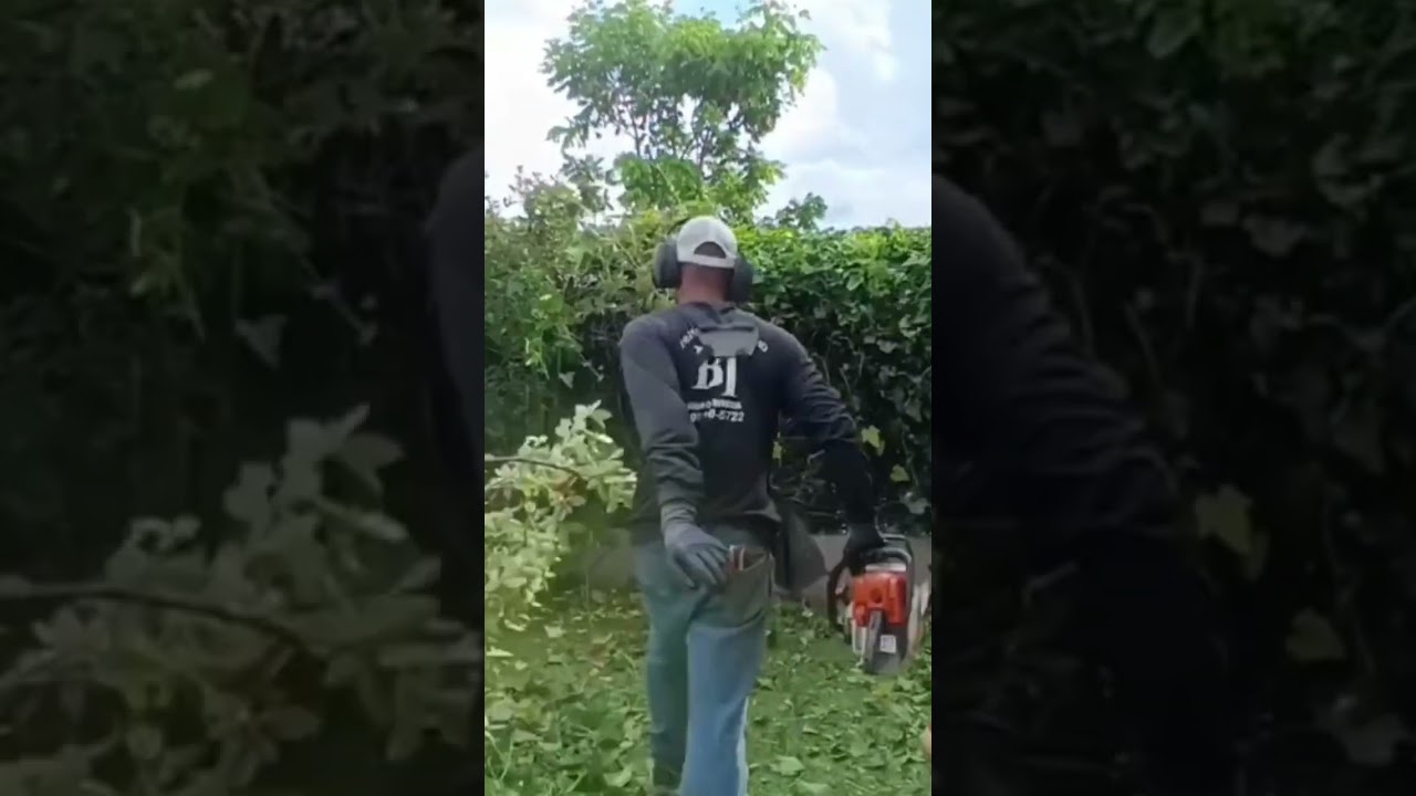 jardinagem na pr&aacute;tica - manuten&ccedil;&atilde;o de jardim