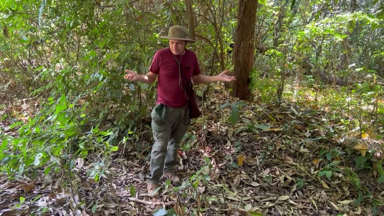 P 3. Llegamos Donde Muere Drácula Historias Del Sur Del Cerro De Guazapa 