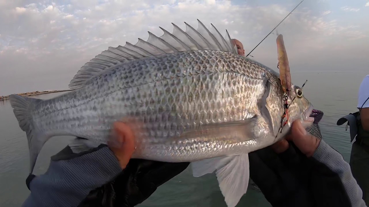 Ultra light bream fishing