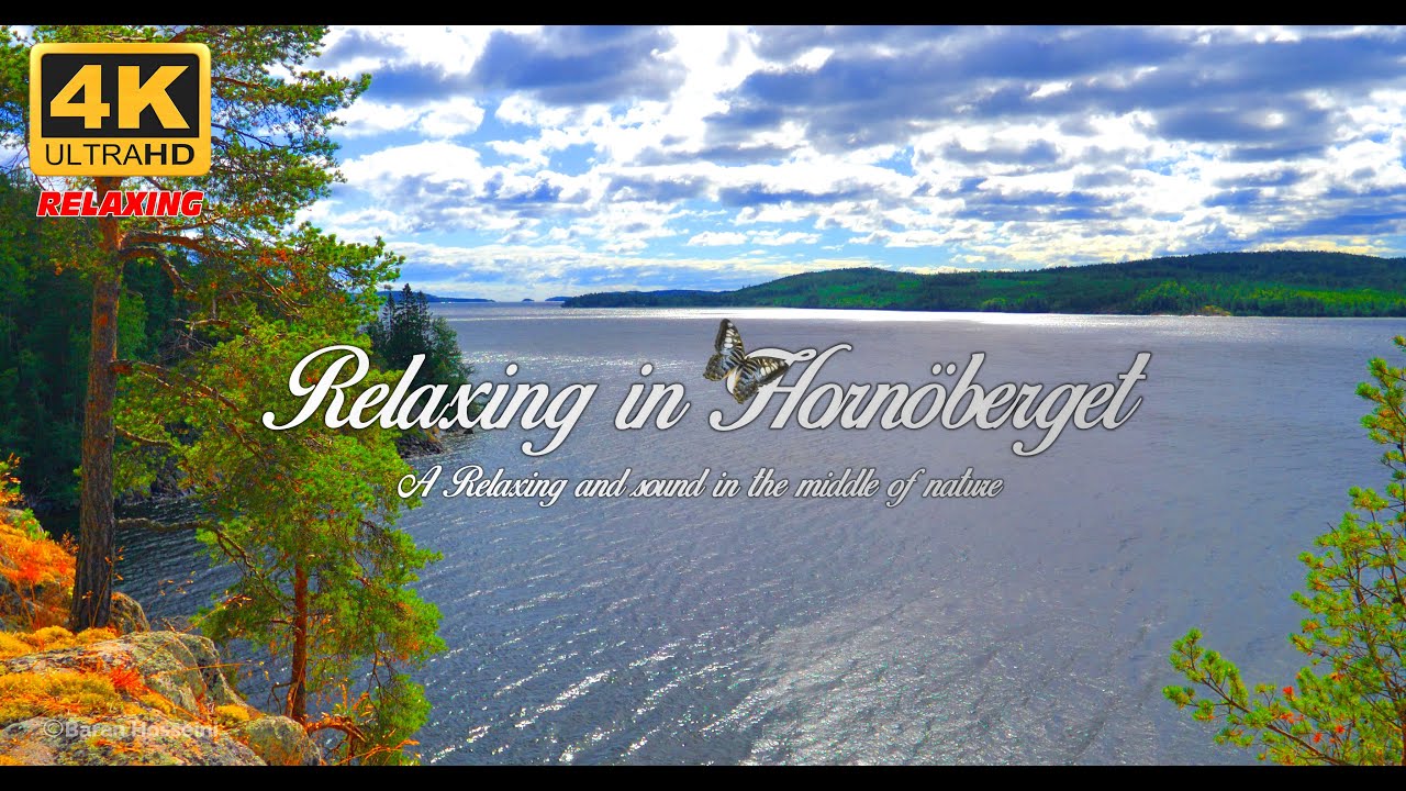 Relaxing at Hornöberget & The High Coast Bridge | Nature’s Serenity in Sweden 🌿☀️
