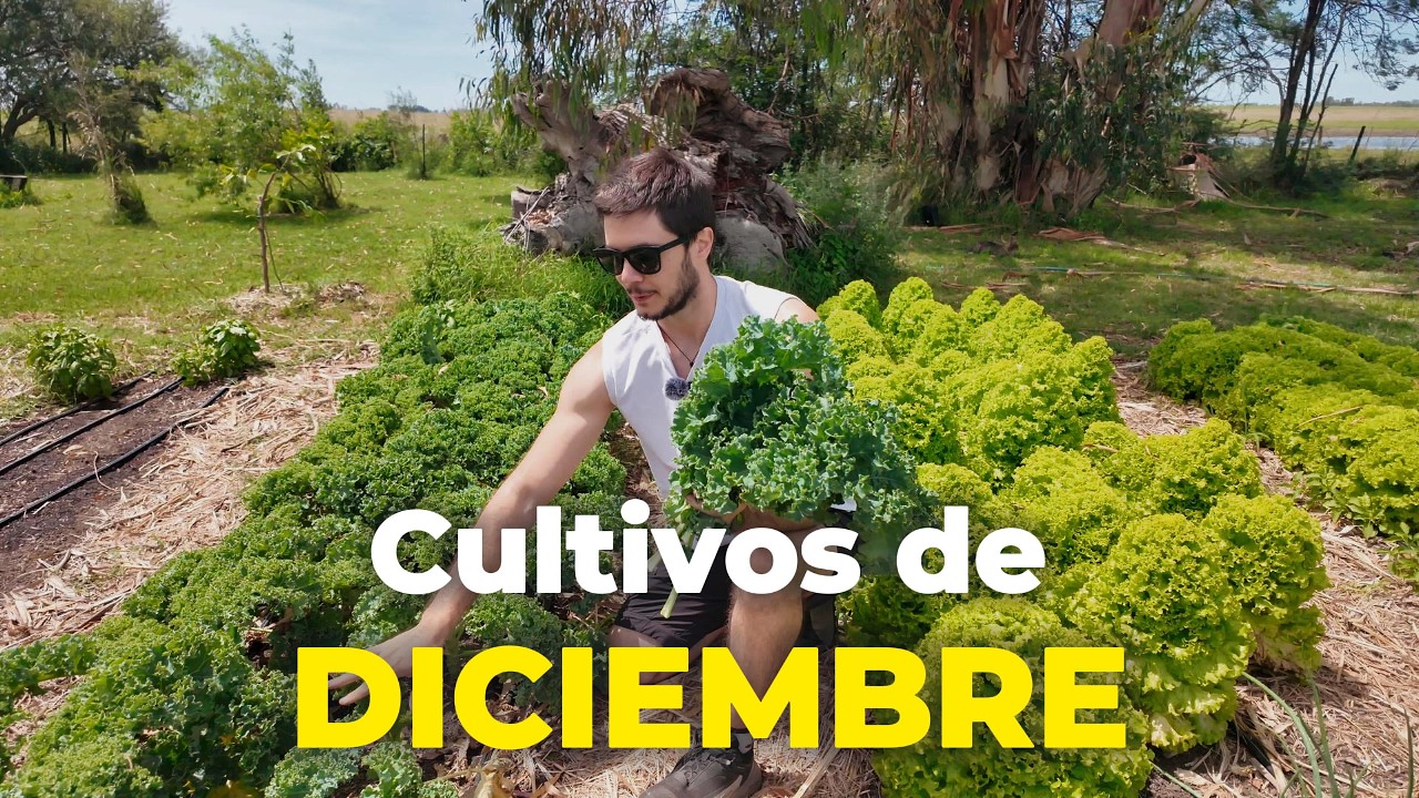 Cultivos de diciembre: tomate, lechuga,  kale, zapallito, frutos rojos, frutales | campo 🇦🇷