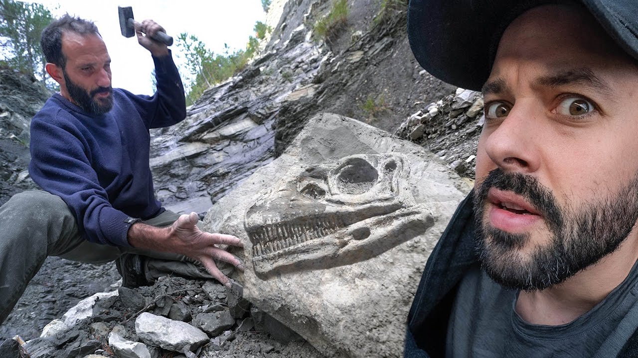 Il a découvert des dinosaures (en France!!)