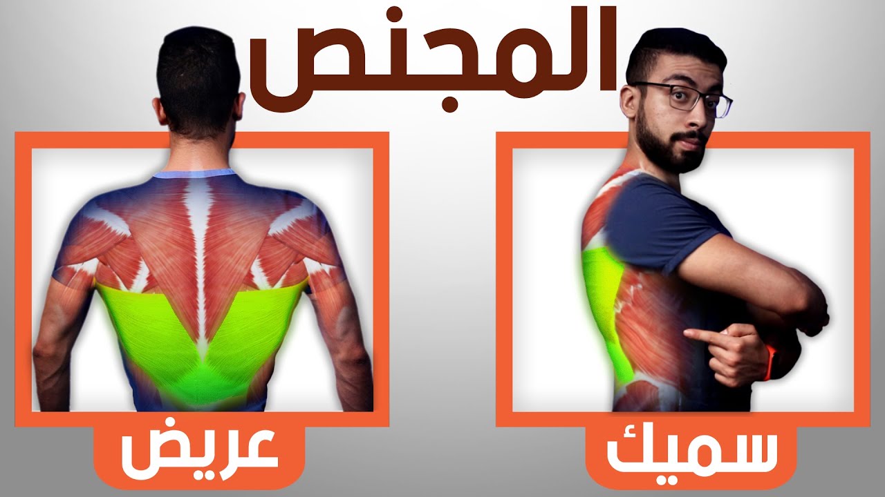 عاوز عضلات المجنص عريضة وضخمة ؟ 💪 - اتمرن بالطريقة دى👌