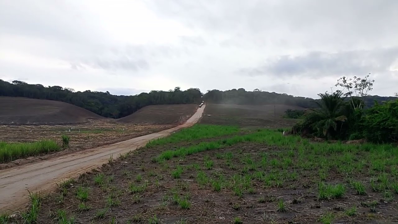 CANAL CICERO PRANCHETA DIRETO DÁ USINA SANTA CLOTILDE RIO LARGO AL 13 02 26 👏
