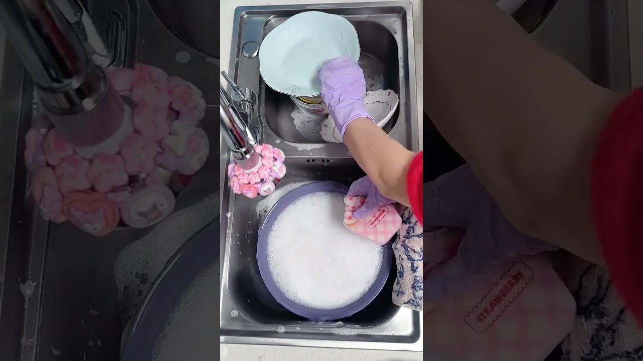 Elevate Your Dishwashing Game: The Ultimate Beginner's Daily Routine