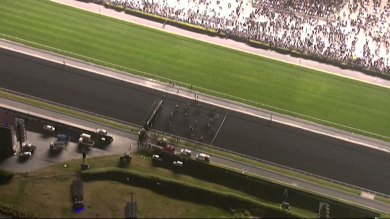 31.03.2012 Meydan (Dubai UAE) 9.Race Dubai World Cup 2012 - Group I 2.000 m HD-720p