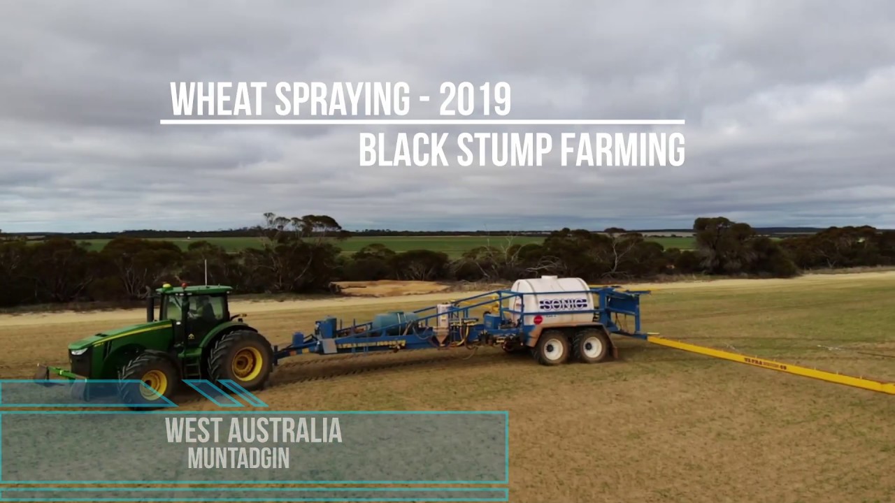 Wheat Spraying - West Australia