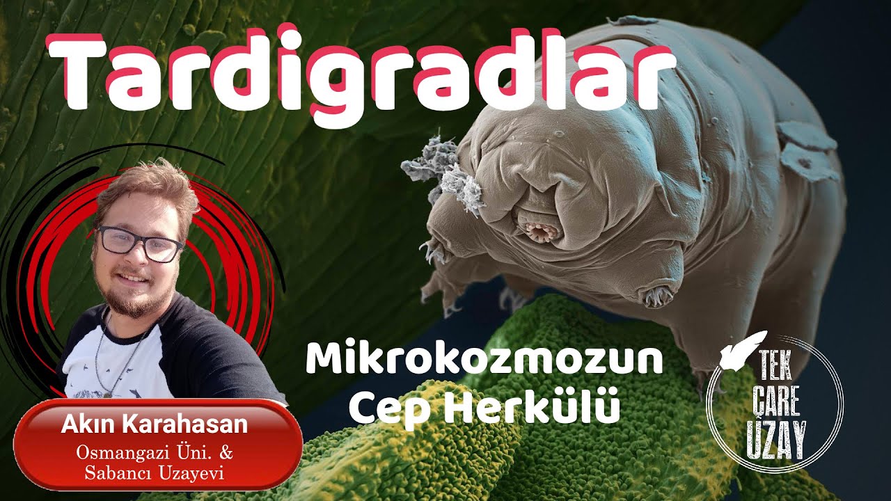 Tardigradlar: Mikrokozmozun Cep Herk&uuml;l&uuml;, Konuk: Akın Karahasan (Osmangazi &Uuml;ni.) | B102