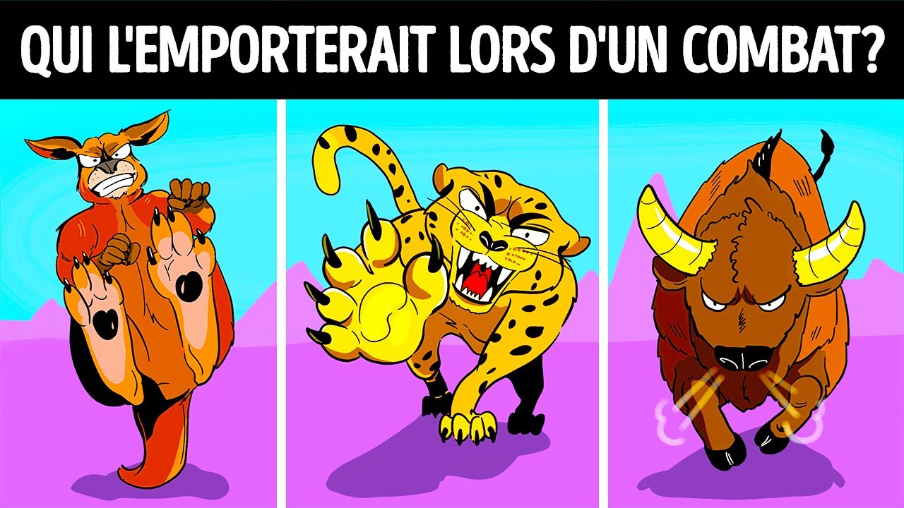 16 Animaux dont les coups sont les plus puissants du monde