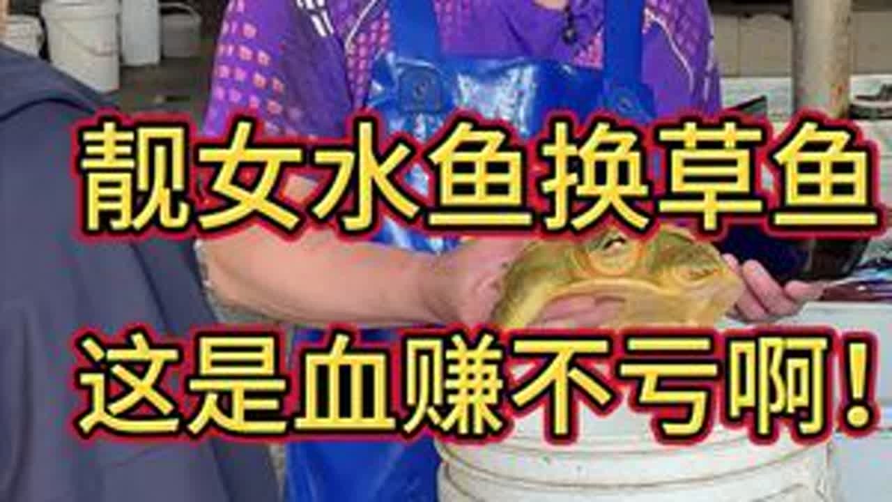 靓女拿水鱼换草鱼，血赚不亏啊！#杀鱼技术 #刀工 #草鱼 #手工菜刀