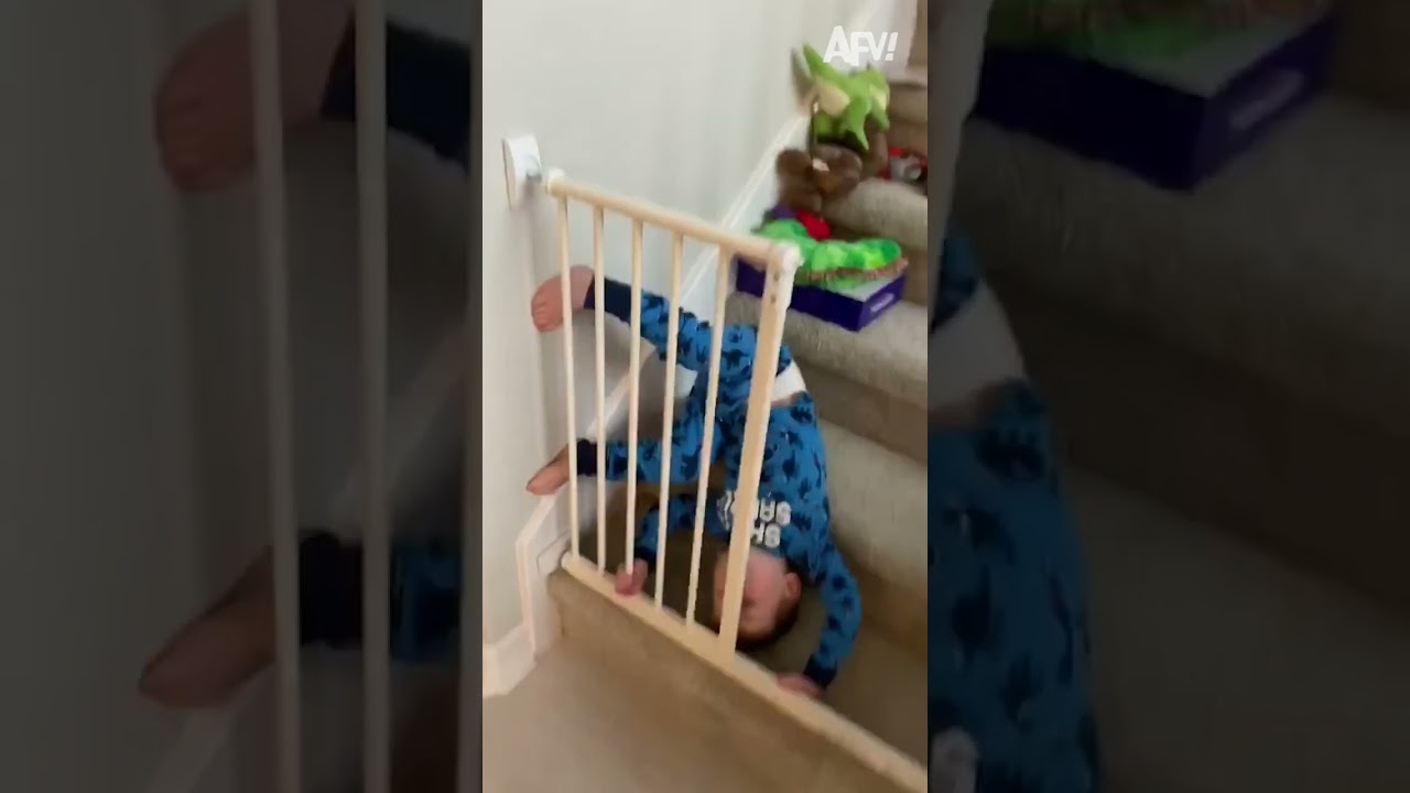 He Deserves an Extra Present! 🎁 #12DaysofLols #funny #holiday #Christmas #fall #fail #afv