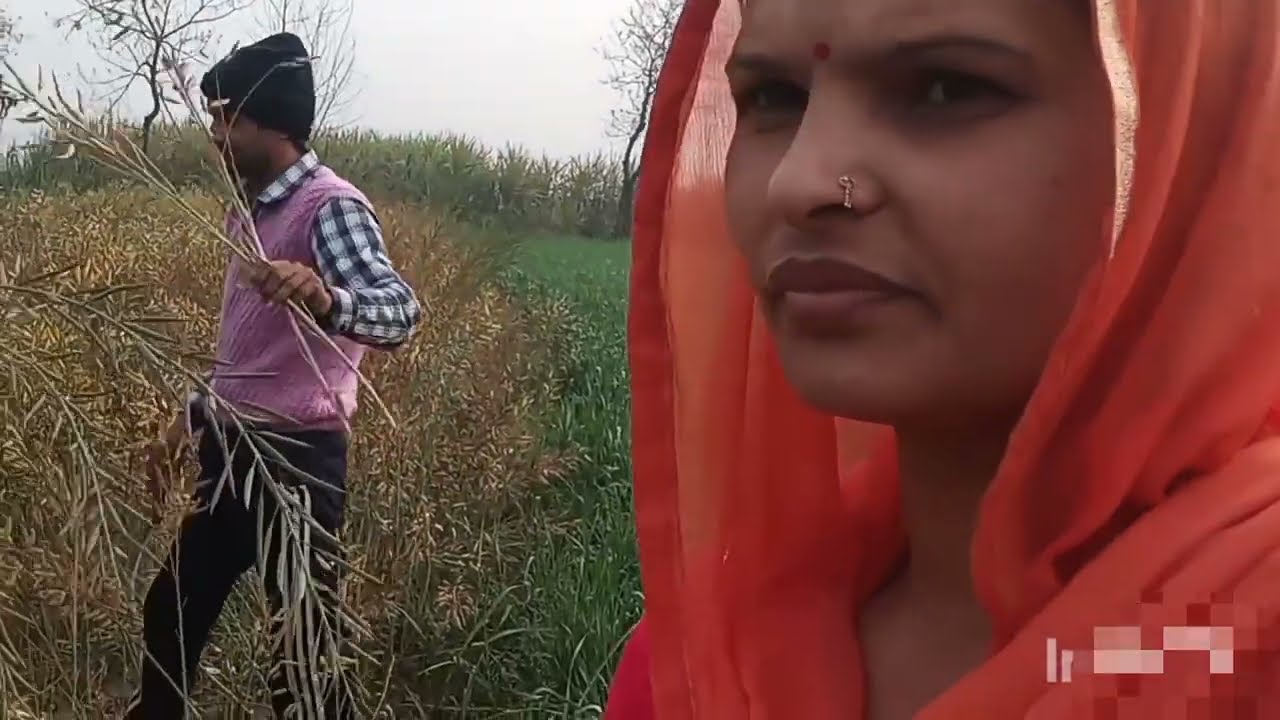 My new vilog ||  🥰please support karna friends 🙏🙏सरसो कटाई चालू हो गई || Sonika choudhry 