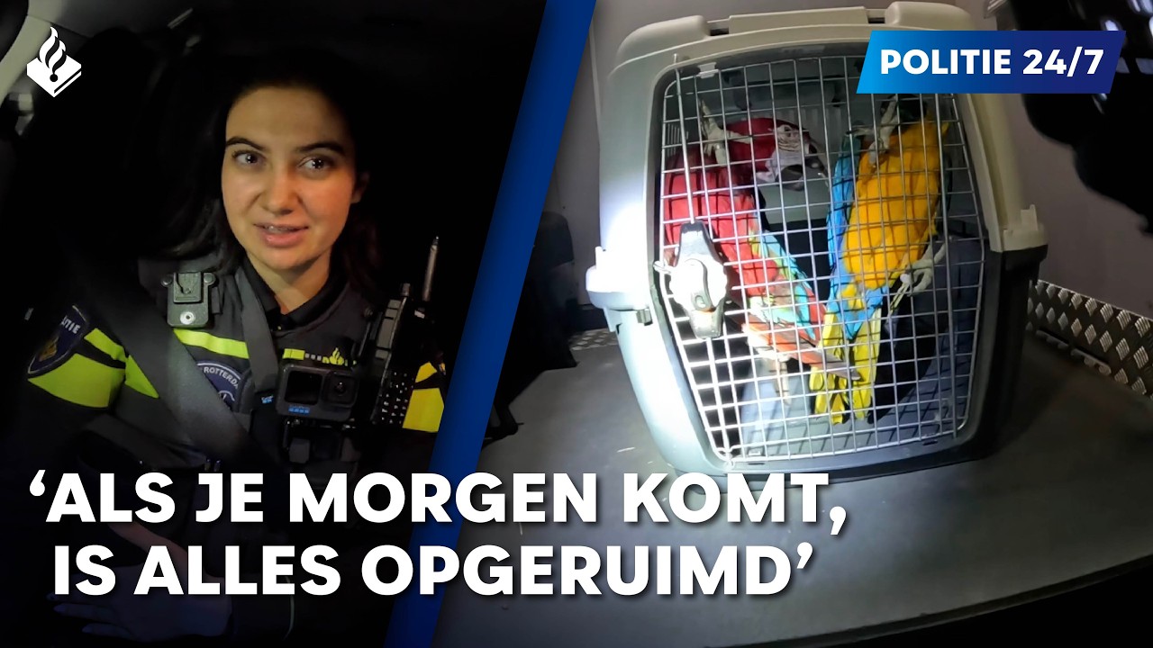Politie 24/7 I Inbeslagname tropische vogels