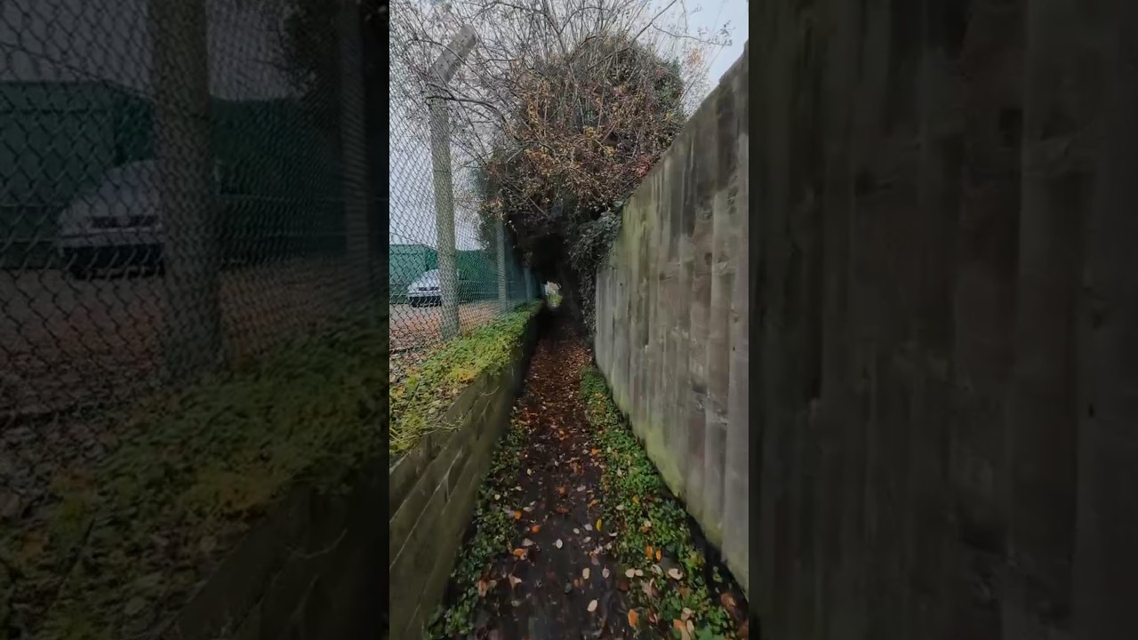 Passing under some random trees