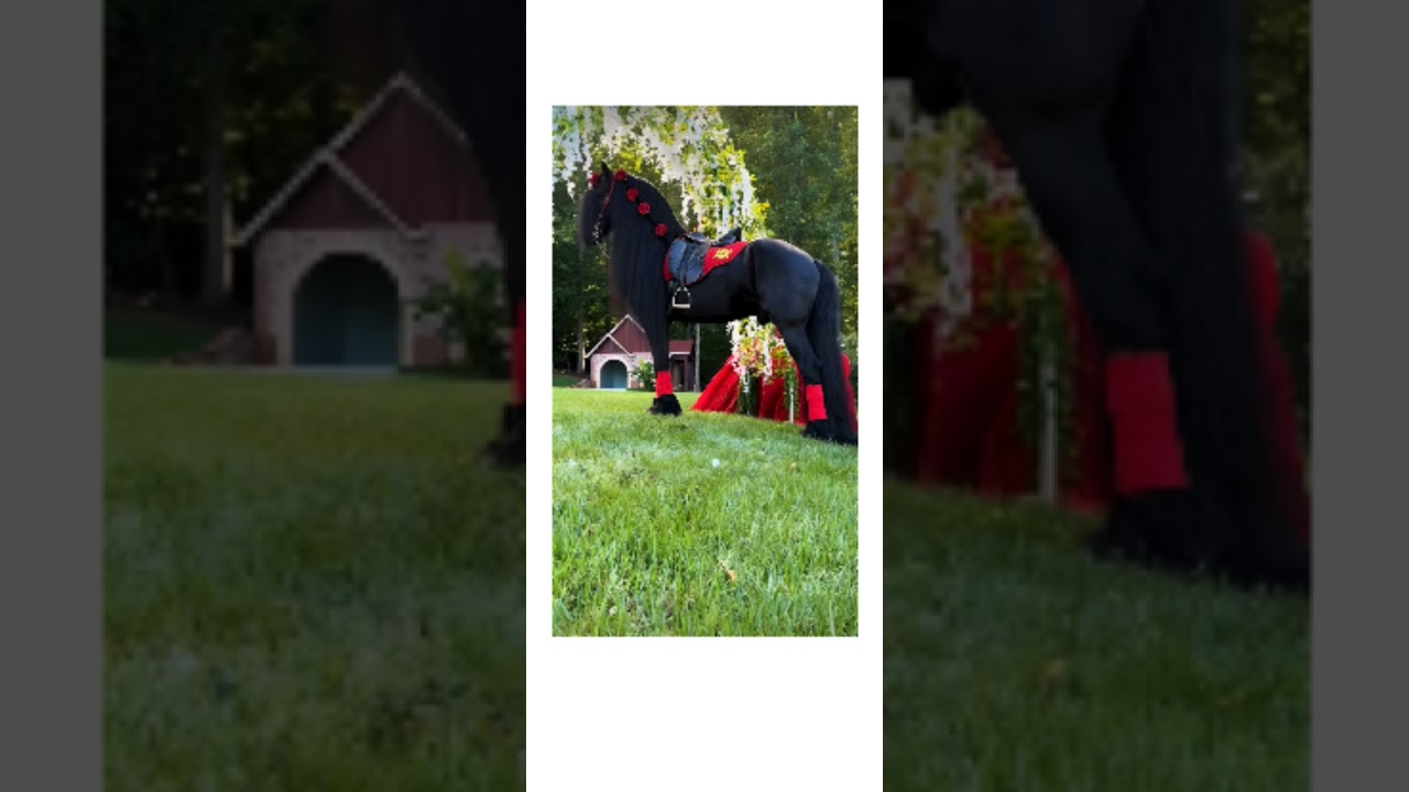 Altanero (corrido de caballo Camacho) 50k vistas pr&oacute;ximamente