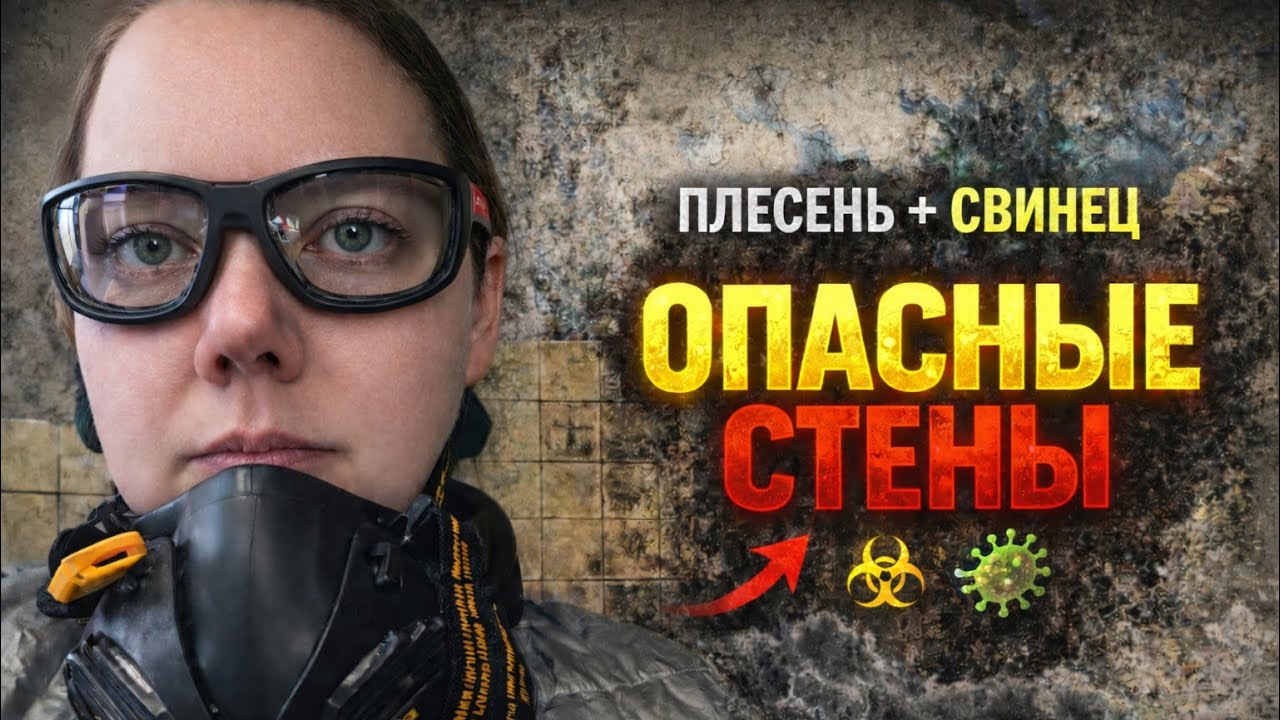 Начали ремонт старого дома во Франции…  нашли плесень и свинец