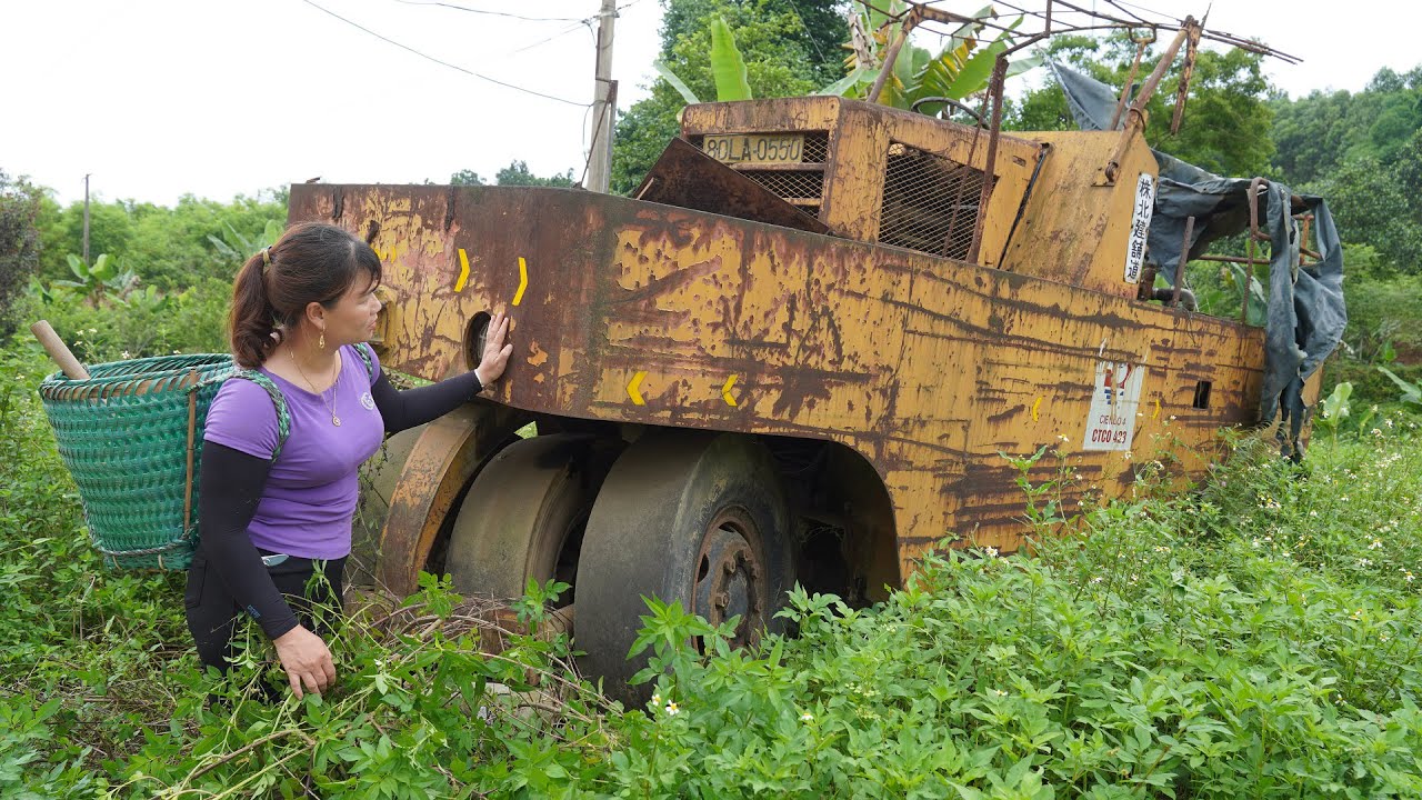 Road Compactor Abandoned Overgrown with Weeds for Many Years - And Girl Revives Old Car