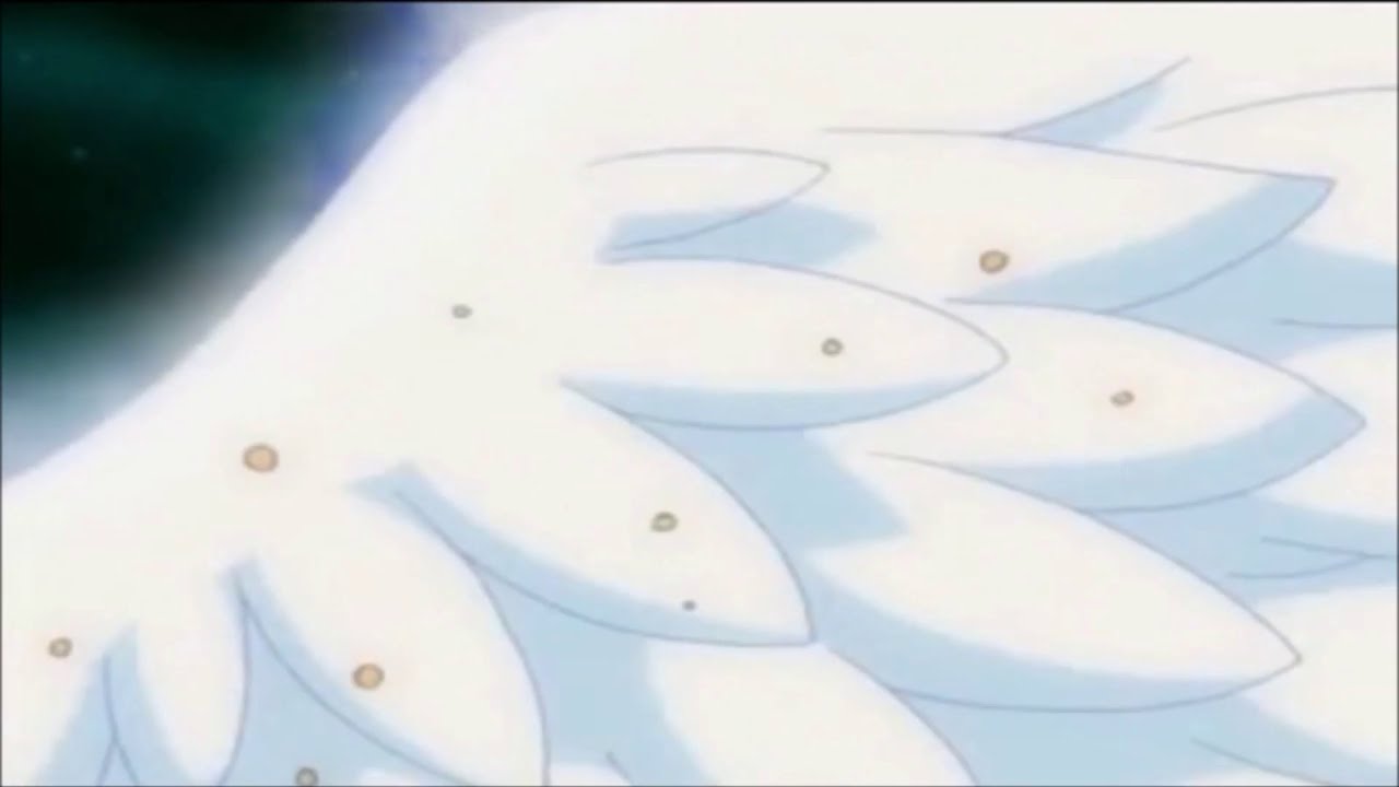 Tsubasa wo daite [French cover]