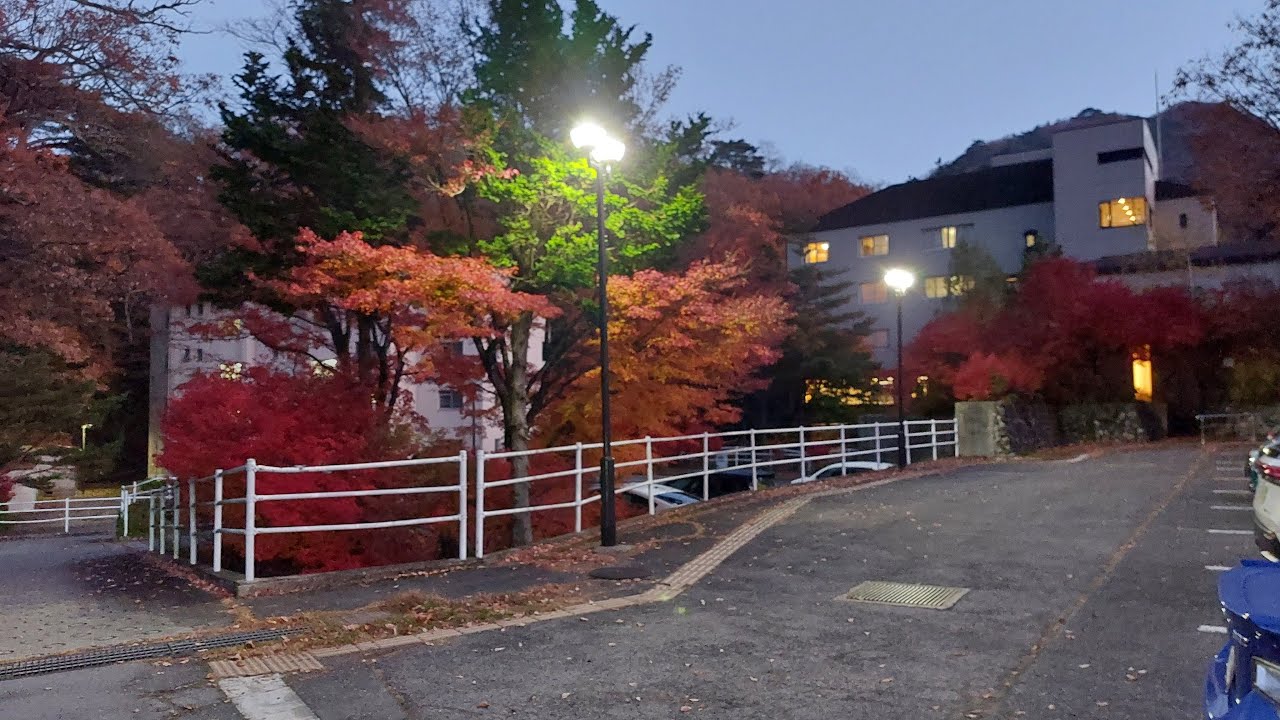 2025.11.17-[ドライブ配信]-齊藤健一郎議員のＮＨＫ党離党の知らせ 塩原街道より