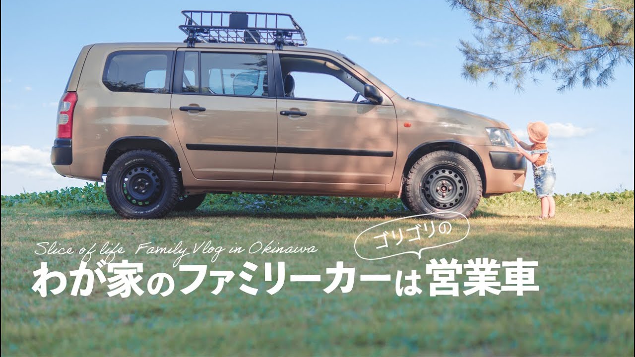 わが家のファミリーカーは営業車 | プロボックス、サクシード カスタム