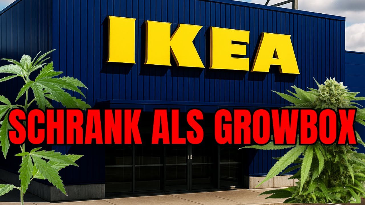 IKEA SCHRANK UMBAU ZUR CANNABIS GROWBOX?!