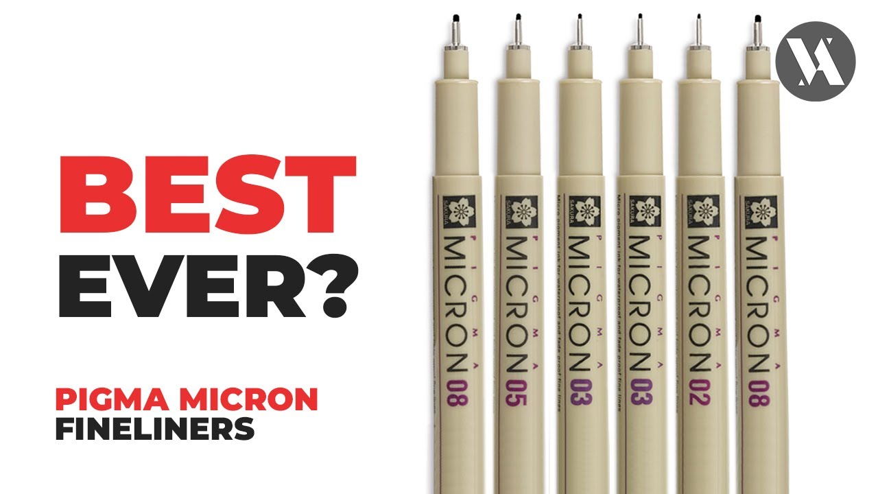 CHEAP & GODLIKE? Pigma Micron Fineliners HONEST Review After 20 YEARS of Using!