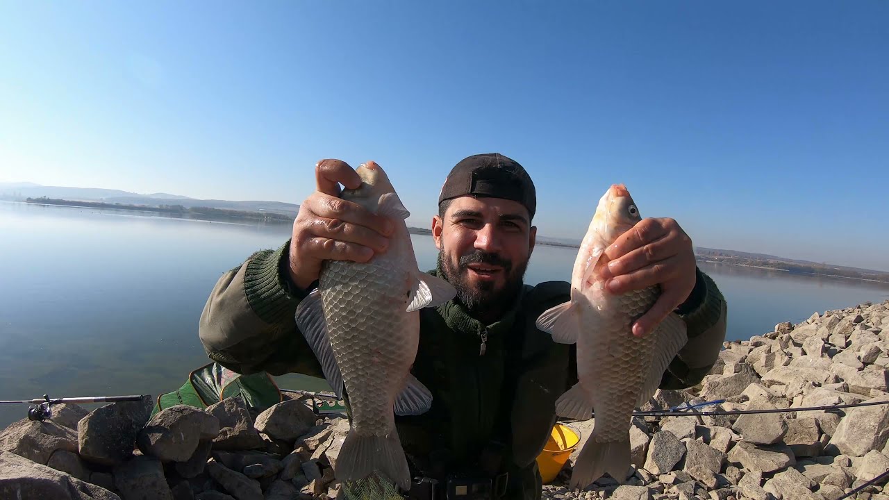 Am prins carasi MARI la feeder. CEA mai BUNA BALTA de CARAS din ROMANIA