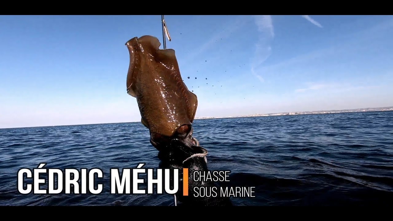 CHASSE SOUS MARINE PRINTANIÈRE À MARSEILLE