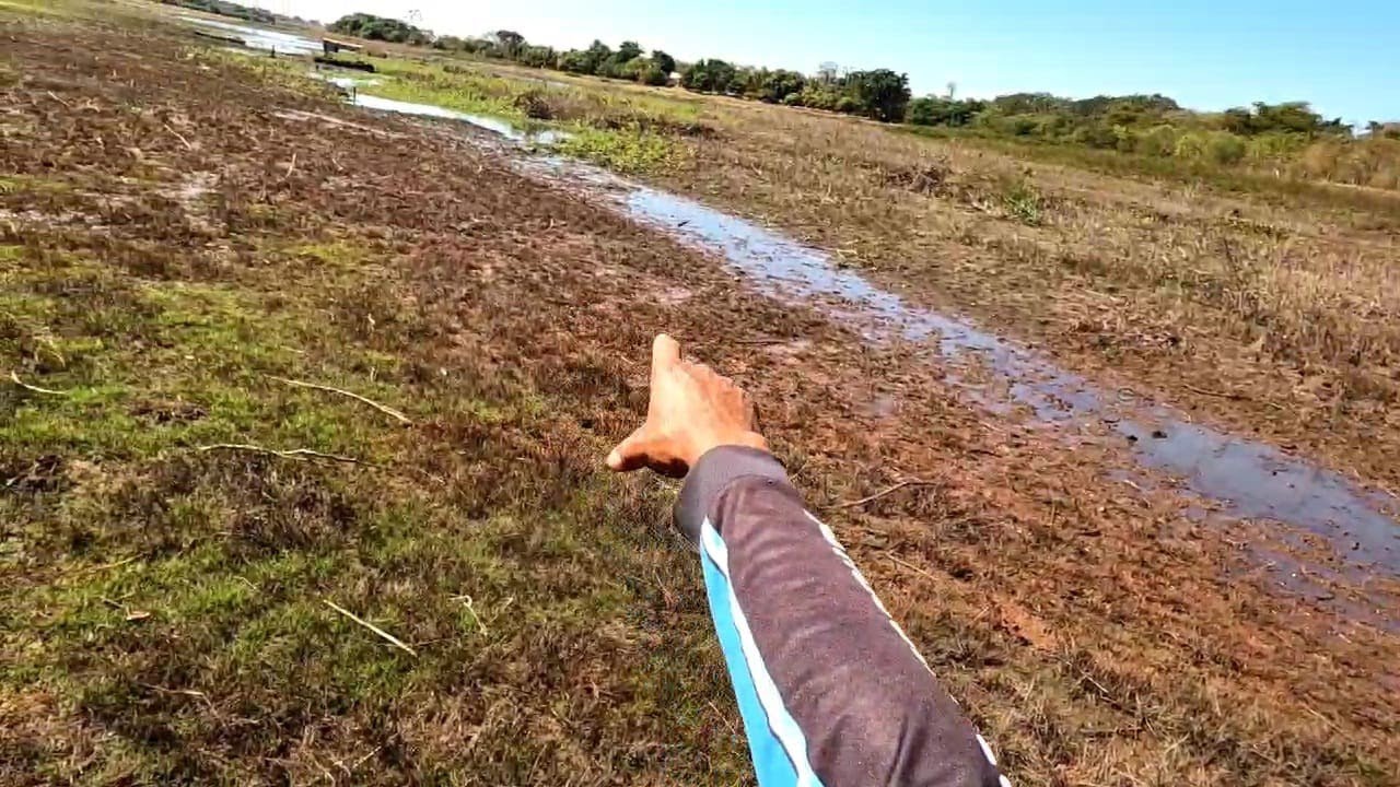 O Rio secou Os pirarucu gigantes estão por aqui usando isca viva consegui fisgar os Tucunaré mais...