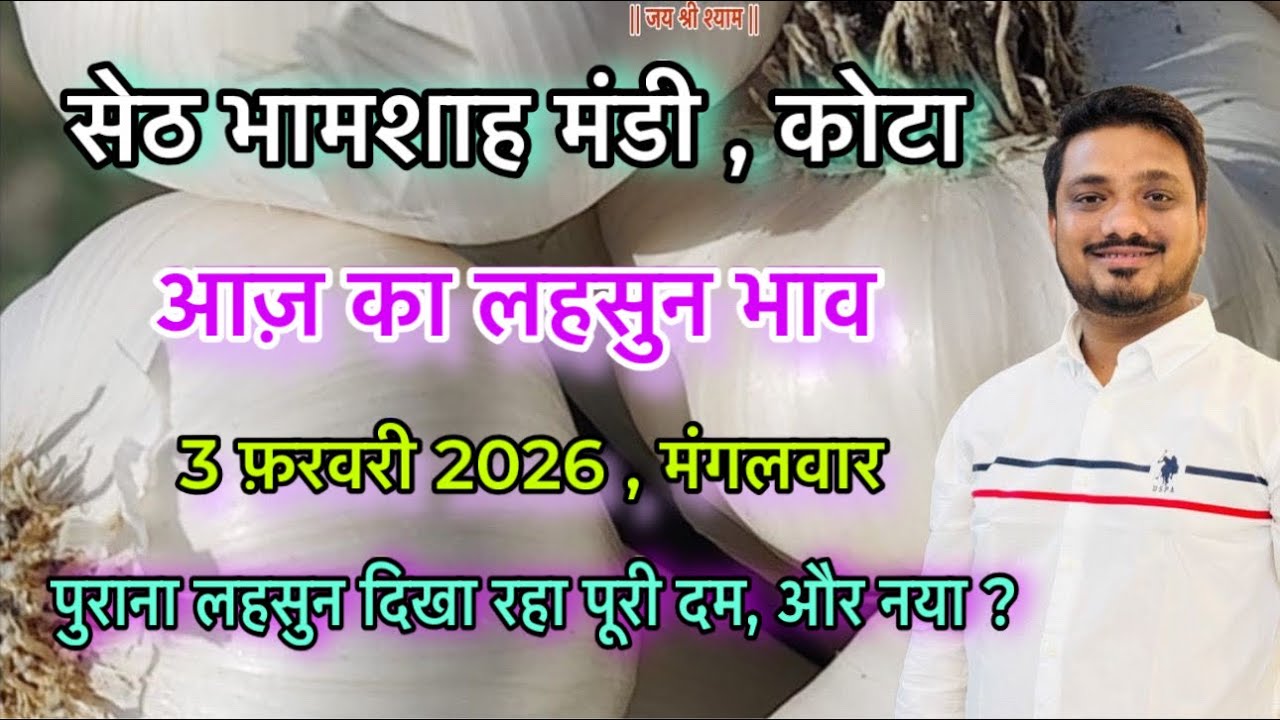 आज़ 03/02/2026 का ताज़ा लहसुन भाव । 03 Feb 2026 का कोटा मंडी का लहसुन भाव । सेठ भामाशाह मंडी भाव