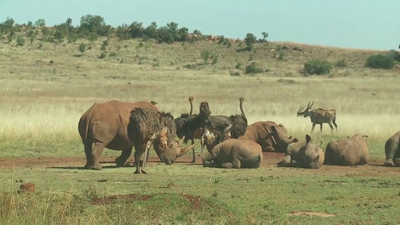 Tyres and Braaiers - Eps 12: Muldersdrift