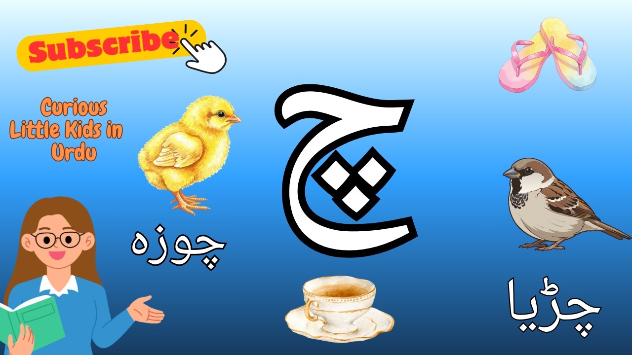 Alif Bay Pay - Urdu Words starting with letter Chay se Alfaaz - Urdu Qaida  #urdualphabet #urdukids