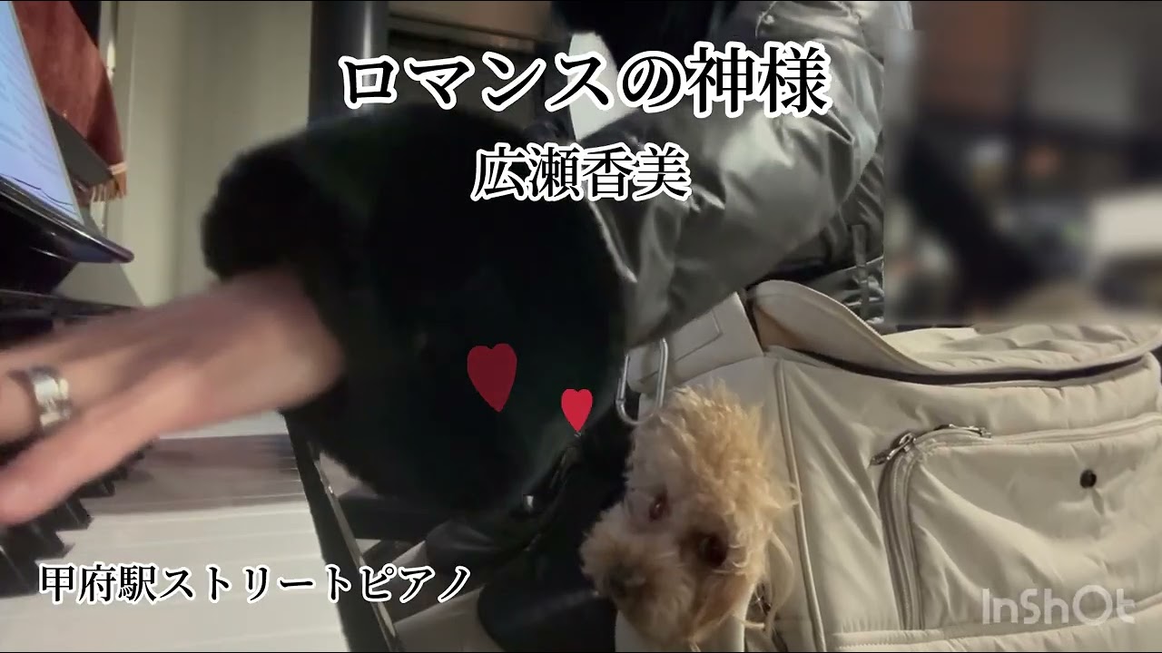 【怪獣の花唄!!+冬ソング二選】犬との二人旅で甲府駅ストリートピアノ  ※チャプター付き