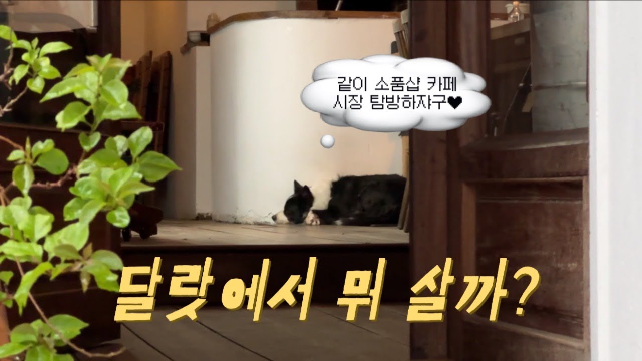 🇻🇳 | 달랏 3일차⑵ | 쇼핑Day🛍 | 달랏 크록스 가격 나트랑 담시장 비교 | 소품샵 | 카페 Senso | 벽화 마을 | 달랏 시장 탐방 | 나혼산 그 식당 (더보기란)