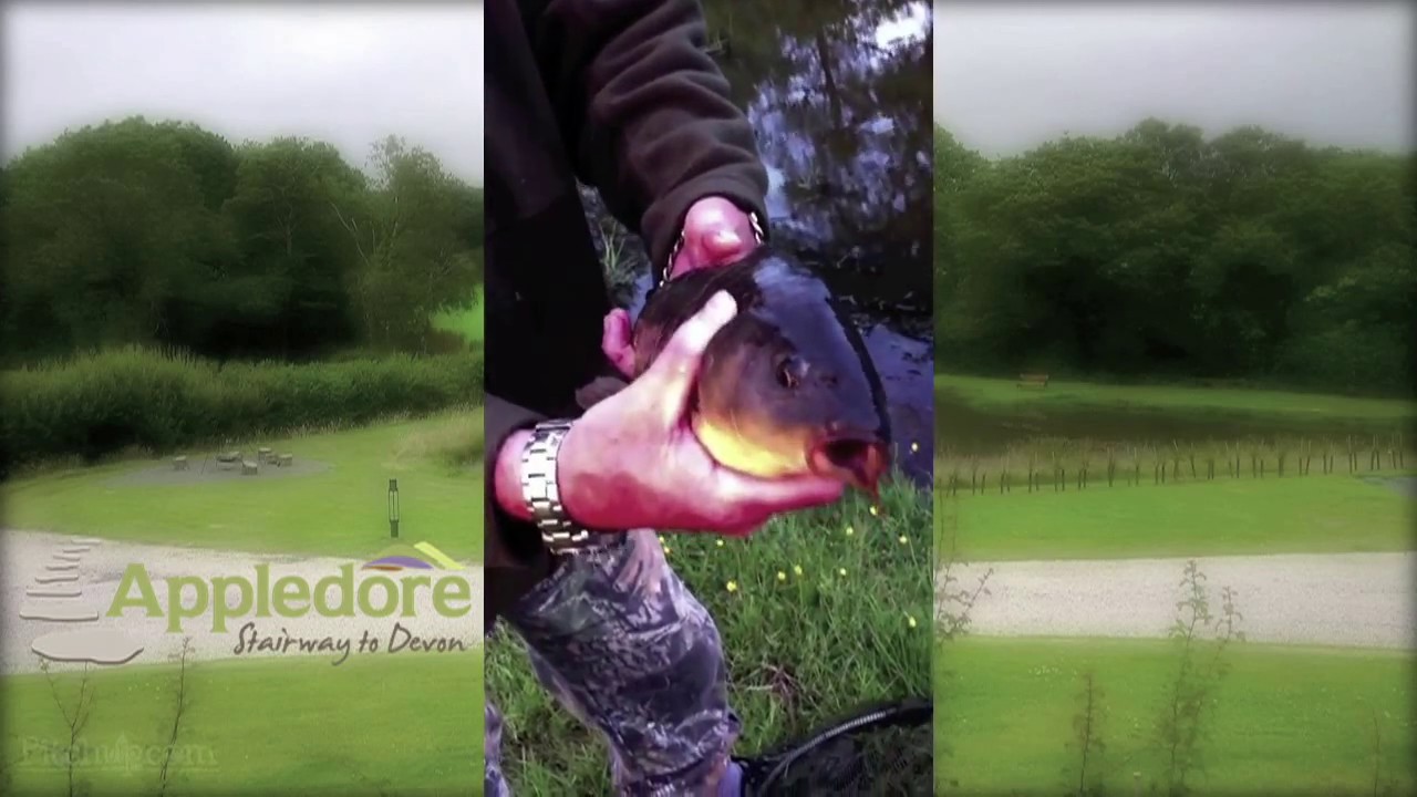 Appledore Park Campsite Devon Fishing Lake Feature Film