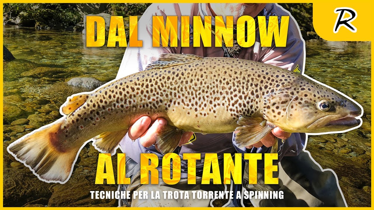 Dal Minnow al Rotante - TROTA SPINNING in torrente | #NativeTrout |  @Rapturelures