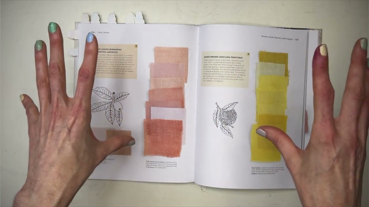 The Natural Dye HandBook Flip Through