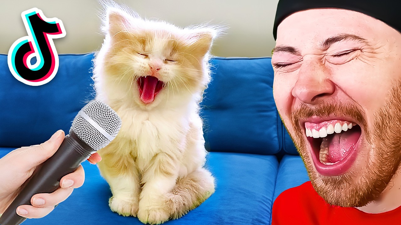The FUNNIEST TikToks of This Week!