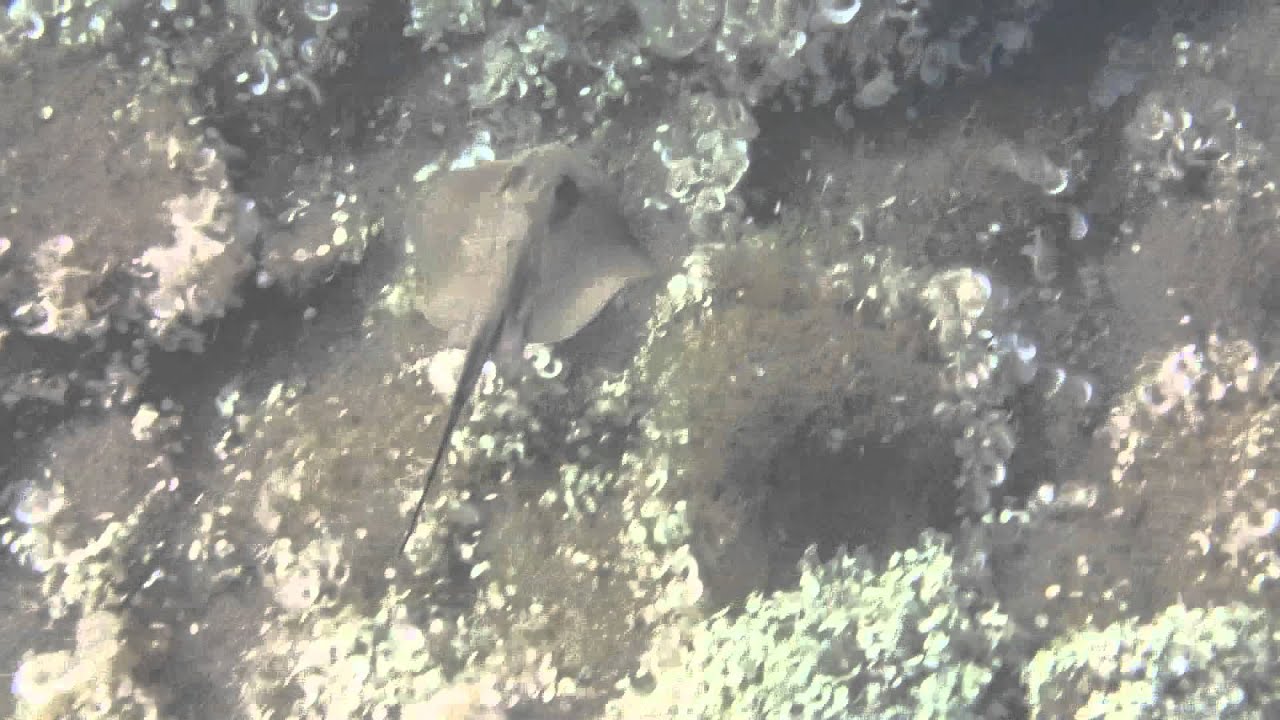 Samotraki underwater