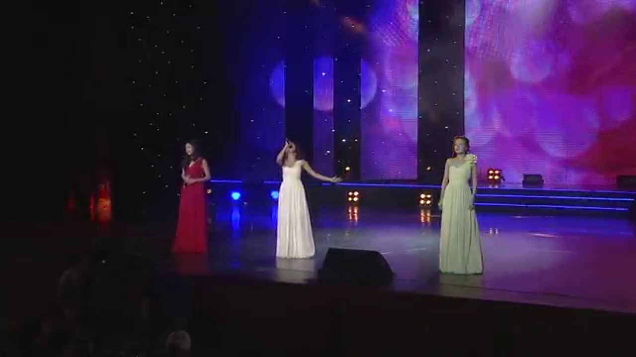 Әндер мен жылдар. 3-ші концерті (2014)