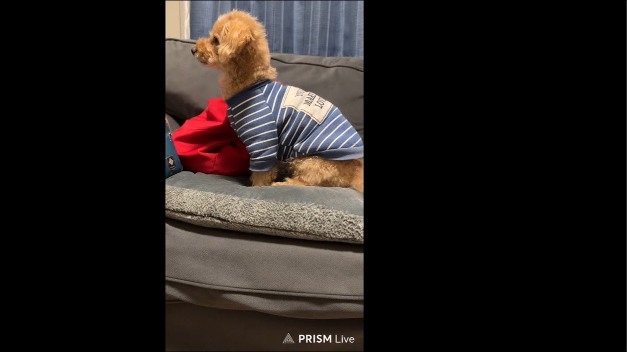 おひるやすみ