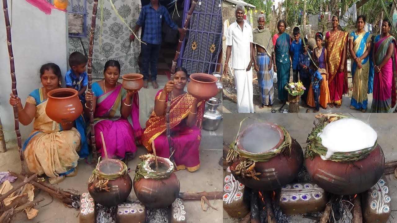 பொங்கலோ  பொங்கல்  எங்கள்  வீட்டு  தை பொங்கல் கொண்டாட்டம் / Pongal Celebration  2019