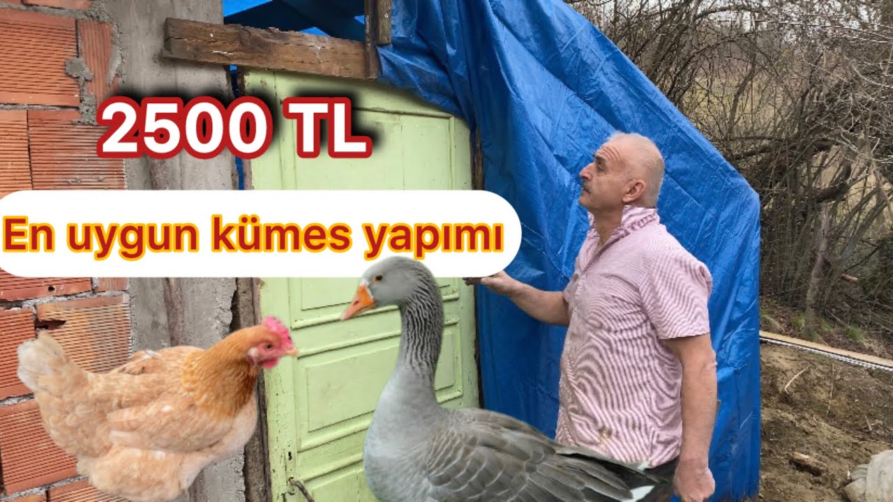EN DÜŞÜK MALİYETLİ KÜMES YAPIMI~İSTER TAVUK İSTER KAZ BESLE