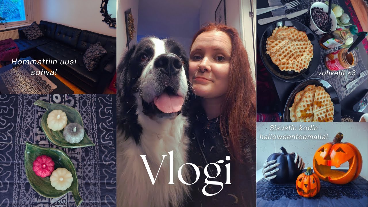 Vlogi: Halloweenhaul & kodin sisustus halloweenia varten