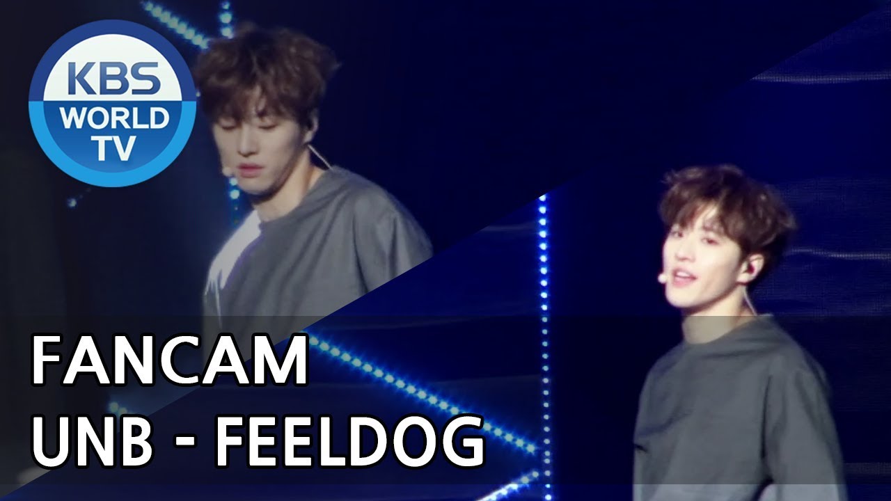 [FOCUSED]UNB's FEELDOG - Feeling [Music Bank / 2018.04.13]